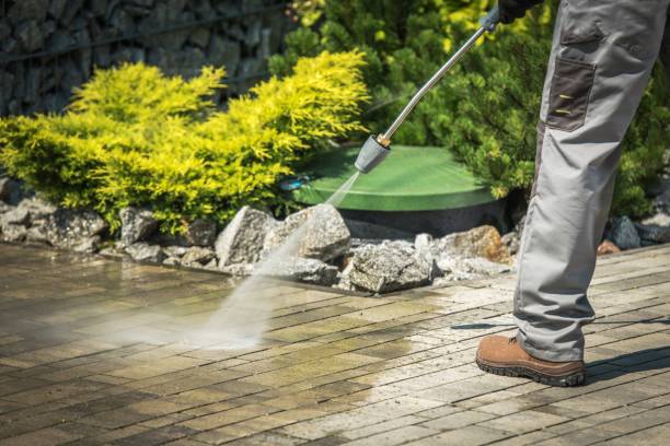Best Gutter Cleaning  in Plainview, TX